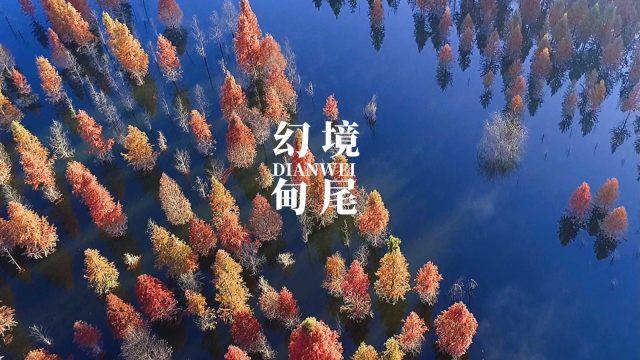 农发行漯河市分行开展“加强安全教育 筑牢安全防线”主题党日活动