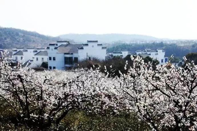 探索吉鹿力,发现乐趣,尽在给男朋友520发的红包该怎么回复?问答社区